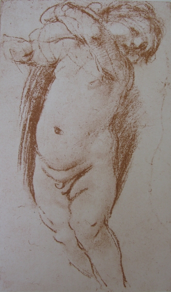 Study of a Putto